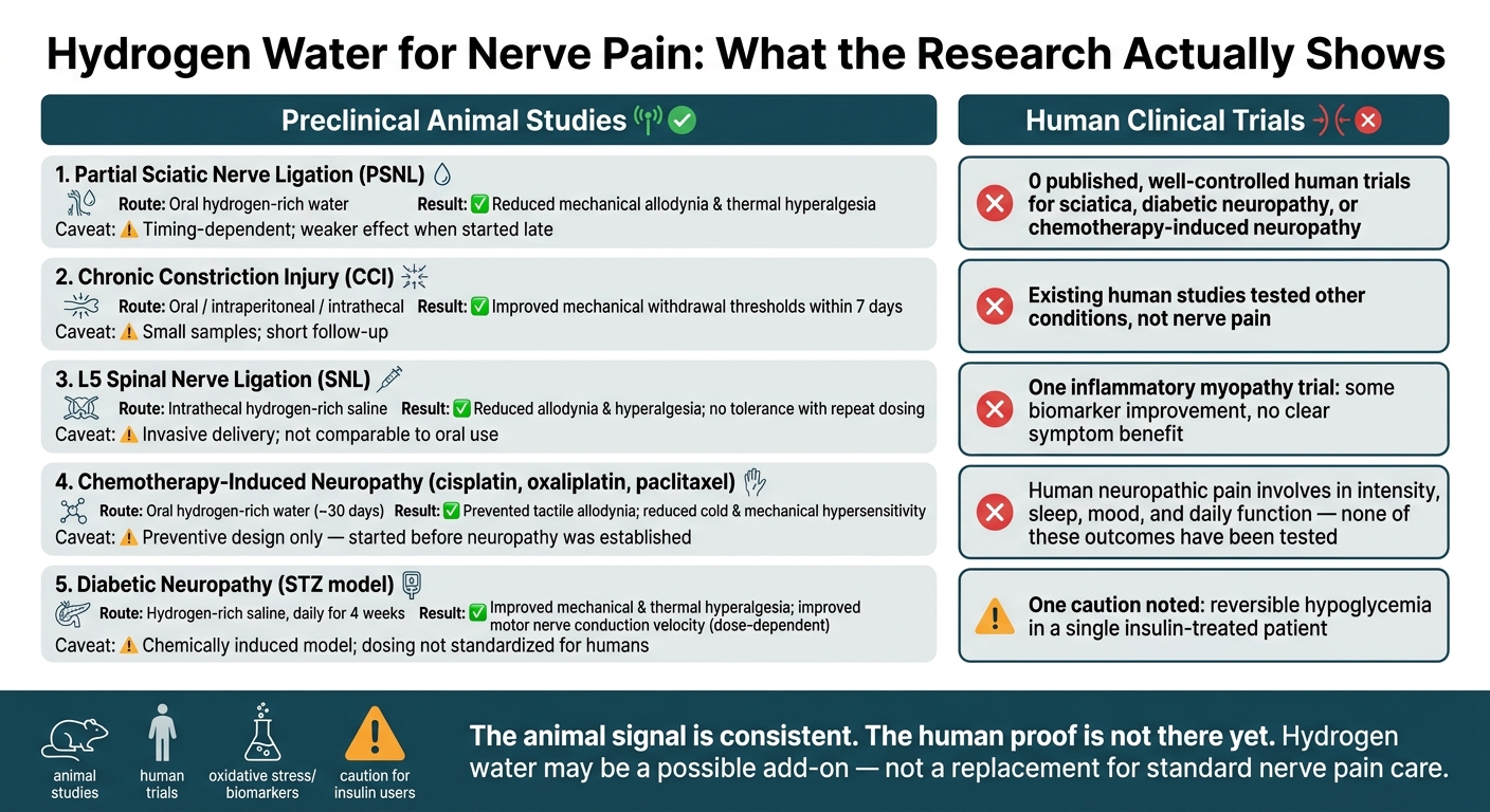 Hydrogen Water for Nerve Pain: Animal Evidence vs. Human Evidence