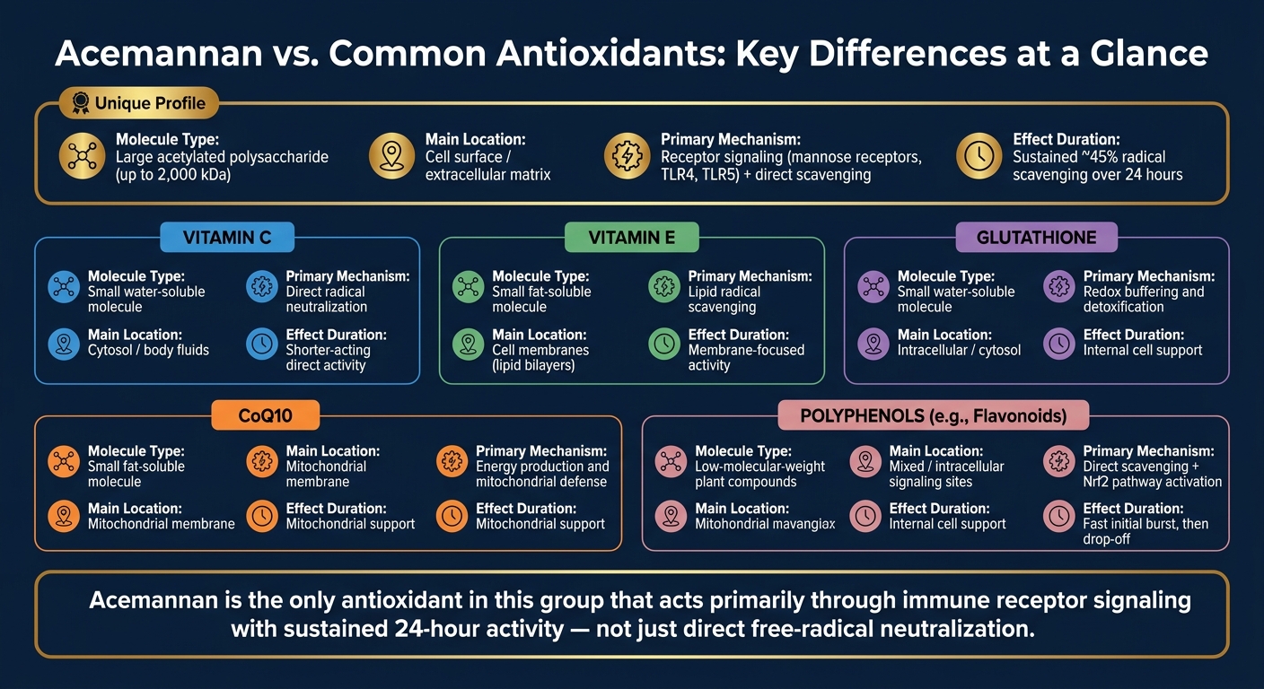 Acemannan vs. Common Antioxidants: Key Differences at a Glance