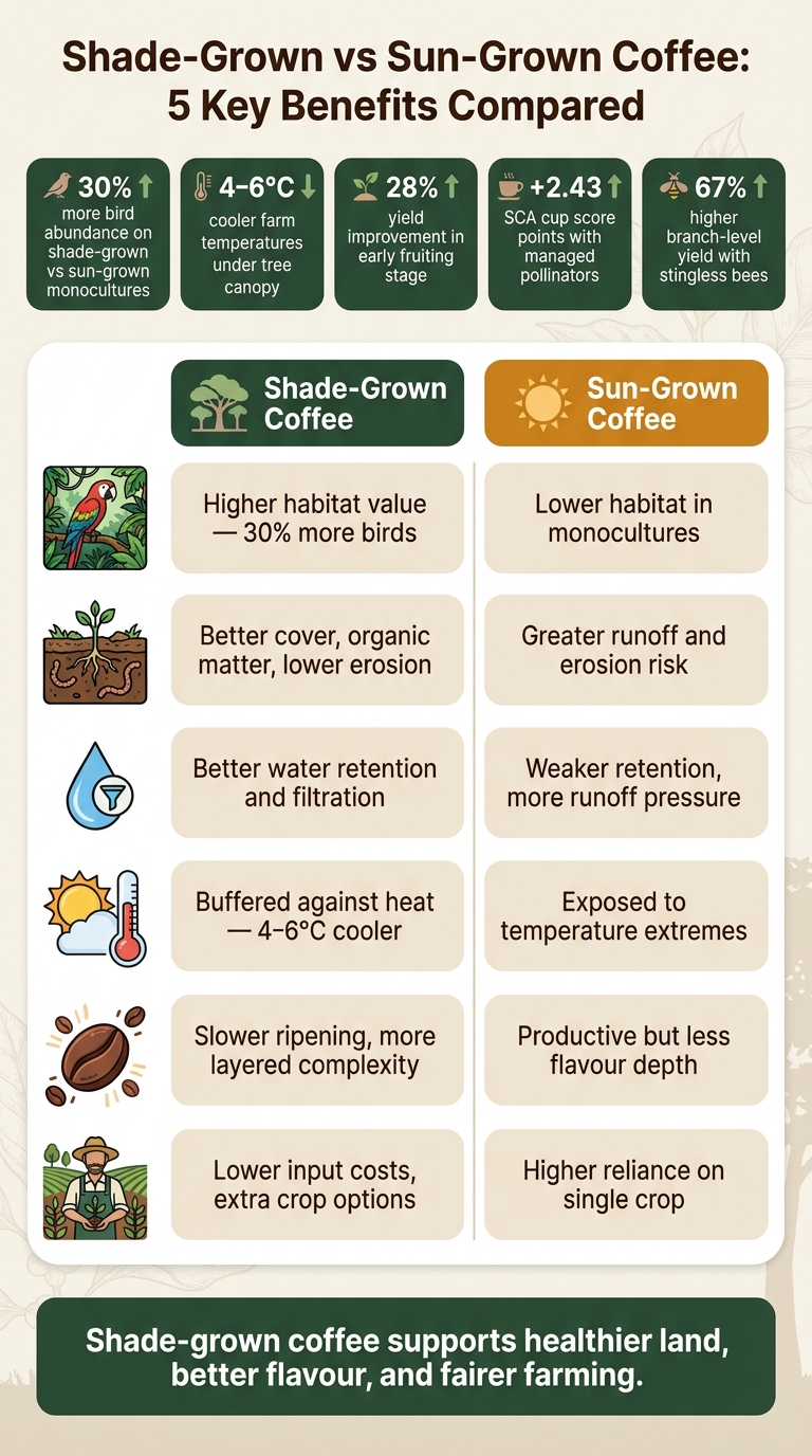 Shade-Grown vs Sun-Grown Coffee: Key Benefits Compared