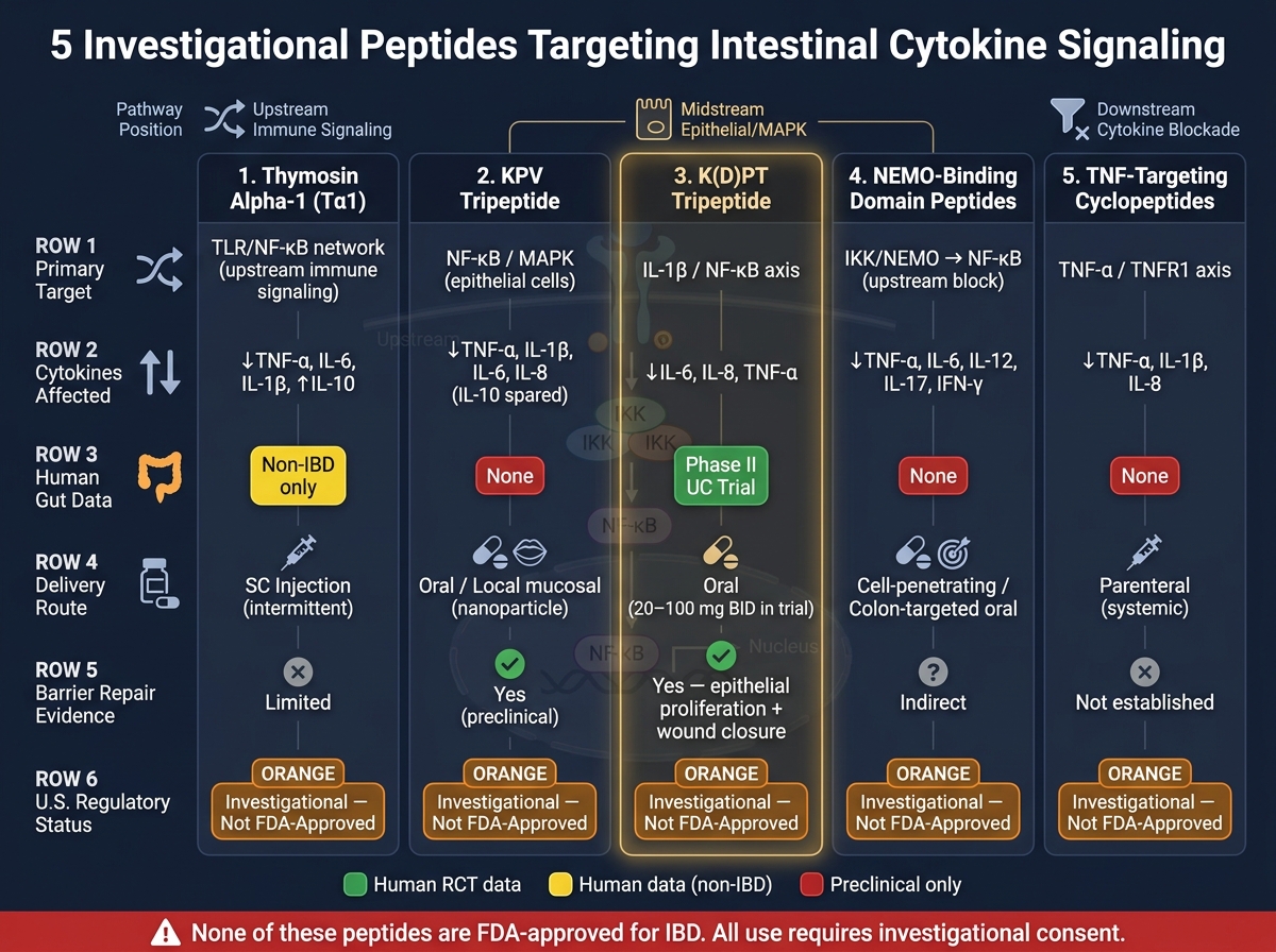 5 Investigational Peptides for IBD: Mechanism, Evidence & Status