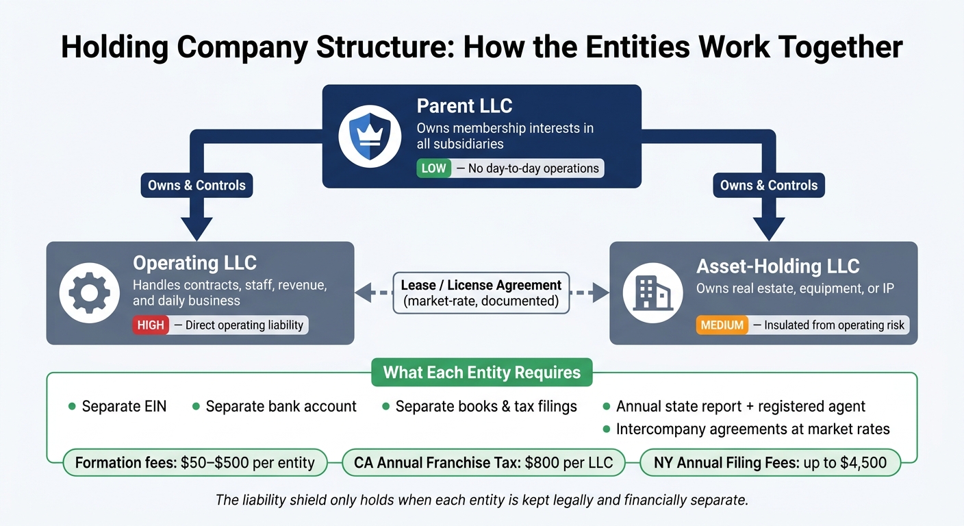 Holding Company Structure: Parent vs. Operating vs. Asset-Holding Entity
