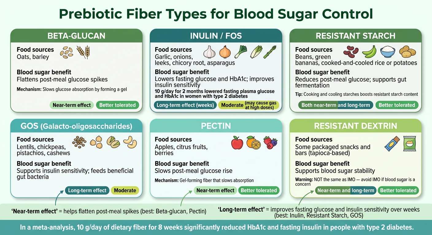 Prebiotic Fiber Types for Blood Sugar: Which One Is Right for You?