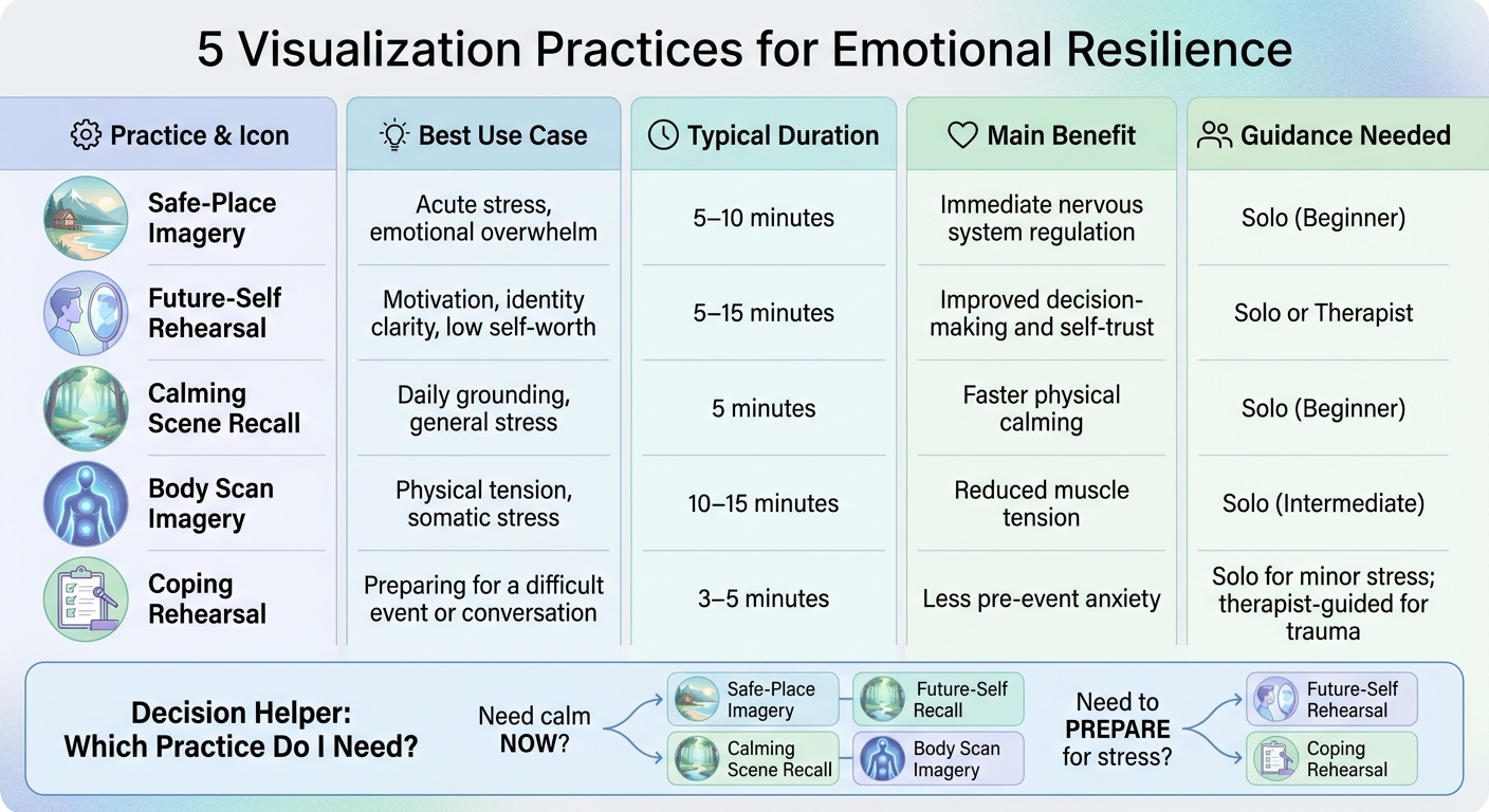 5 Visualization Practices for Emotional Resilience: Quick Comparison Guide