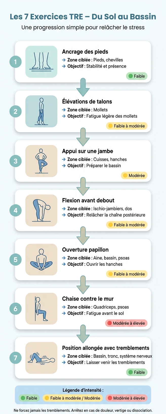 Les 7 Exercices TRE : Progression du Sol au Bassin
