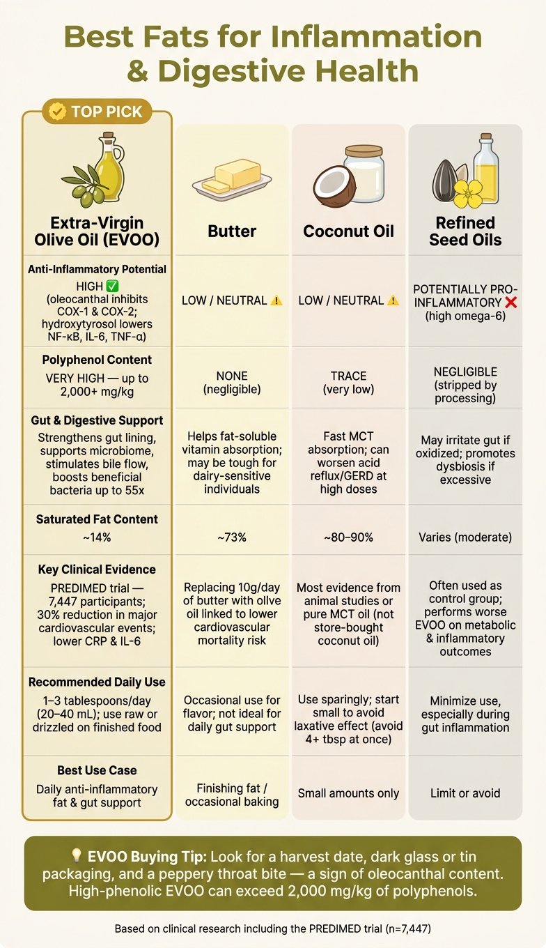 EVOO vs Butter vs Coconut Oil vs Refined Seed Oils: Inflammation & Gut Health Compared