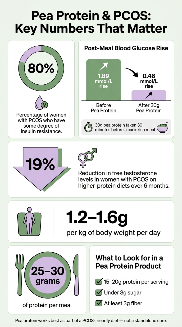 Pea Protein & PCOS: Key Numbers That Matter