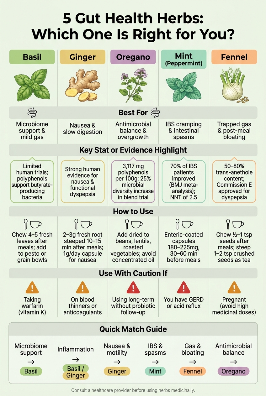 5 Gut Health Herbs Compared: Best Uses, Benefits & Cautions