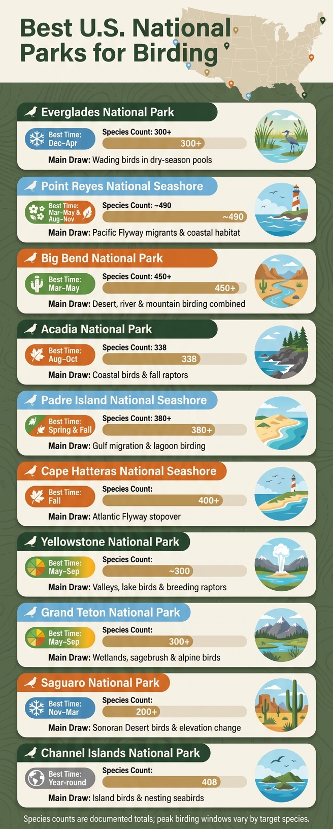 Best U.S. National Parks for Birding: Species, Season & Habitat