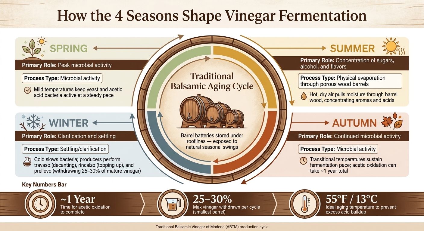 How the 4 Seasons Shape Vinegar Fermentation