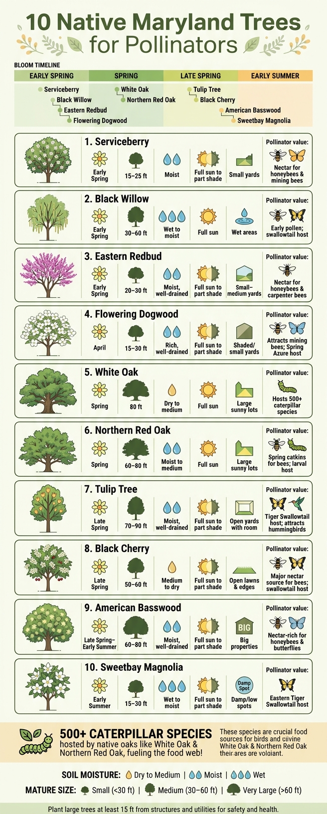 10 Native Maryland Trees for Pollinators: Quick Comparison Guide