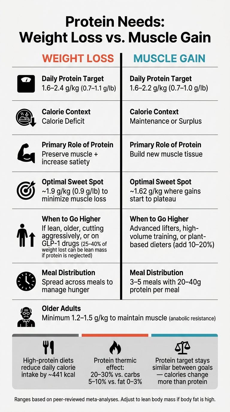 Protein needs for weight loss vs. muscle gain: g/kg targets, meal splits and calorie context