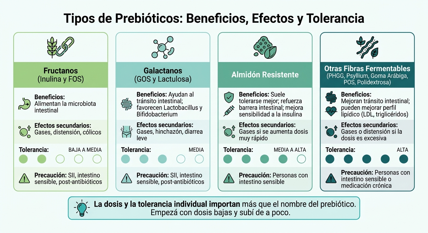 Tipos de Prebióticos: Beneficios, Efectos y Tolerancia
