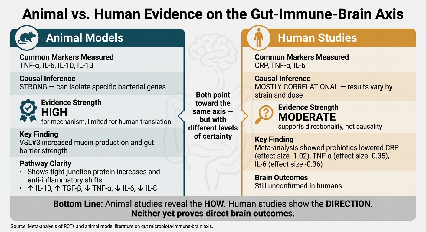 Animal vs. Human Evidence on the Gut-Immune-Brain Axis