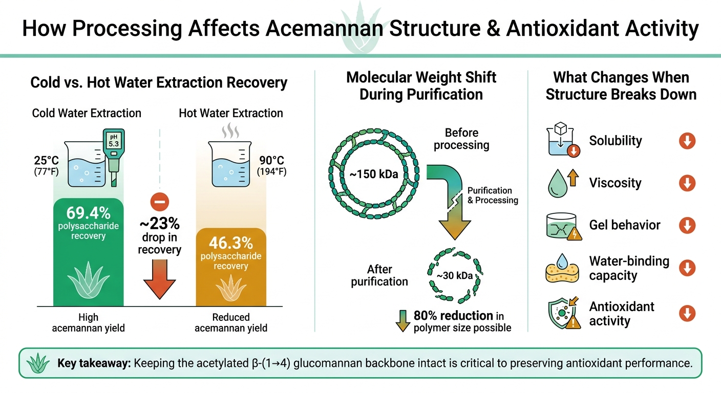 Acemannan Antioxidant Activity: How Processing Affects Structure & Performance