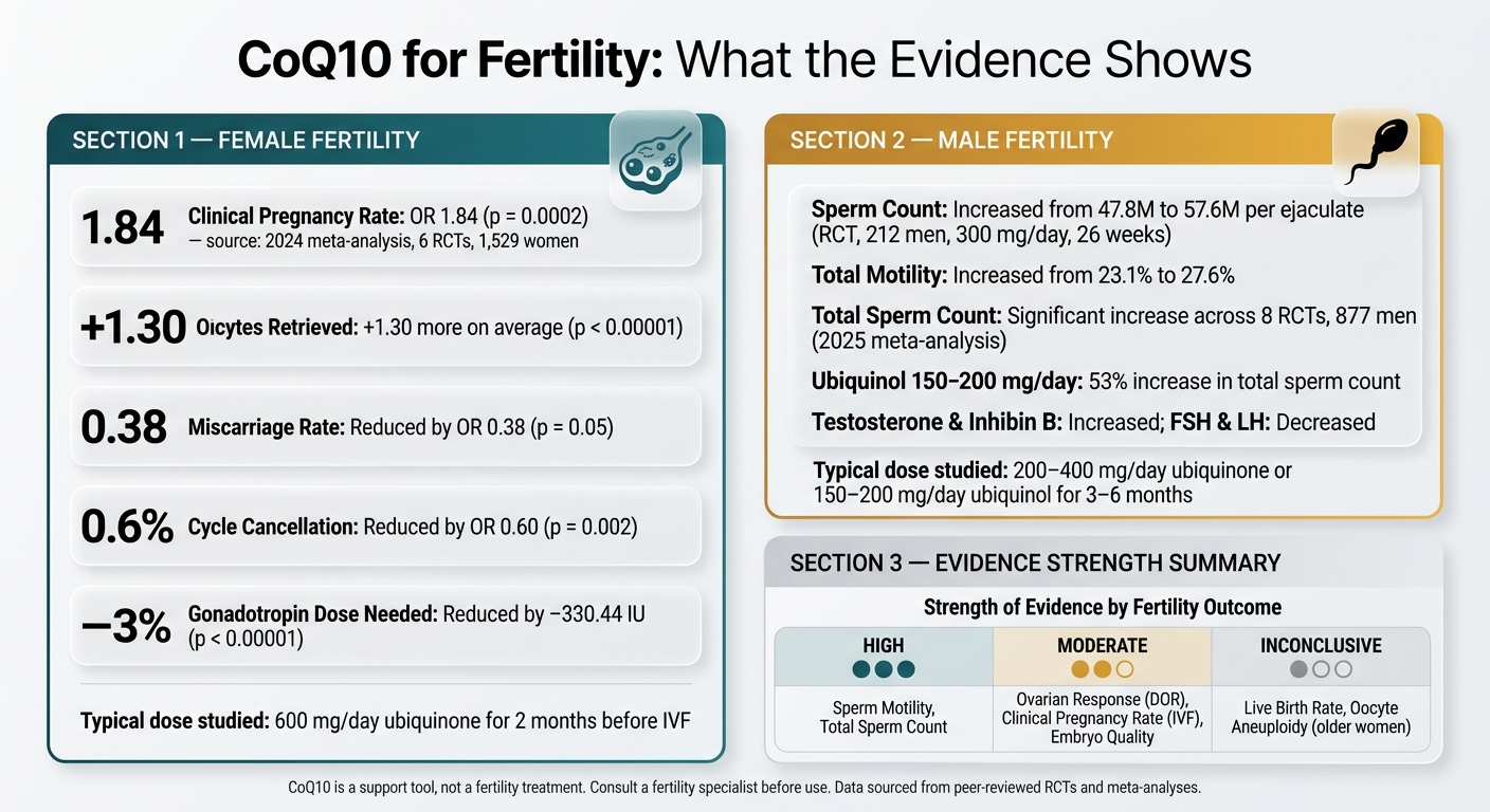 CoQ10 for Fertility: Key Evidence at a Glance