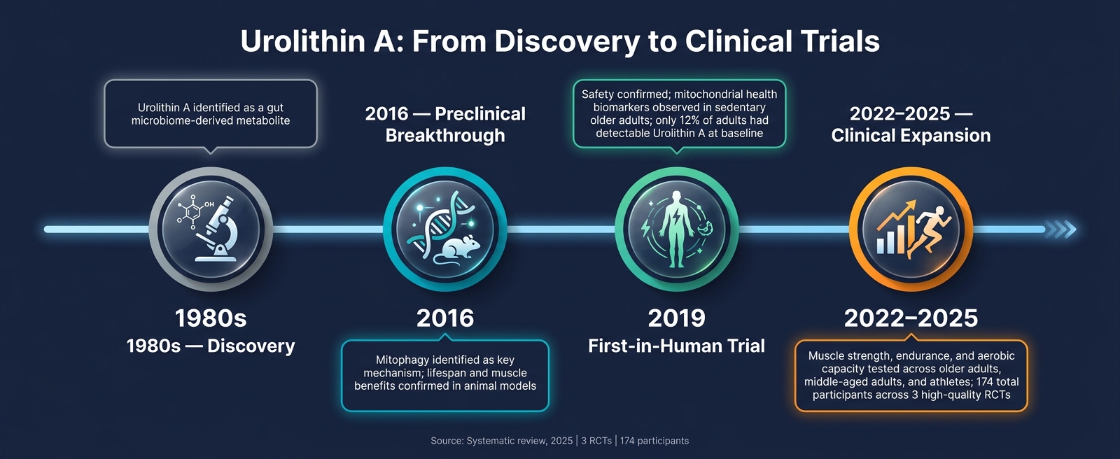 Urolithin A Research Timeline: From Discovery to Clinical Trials