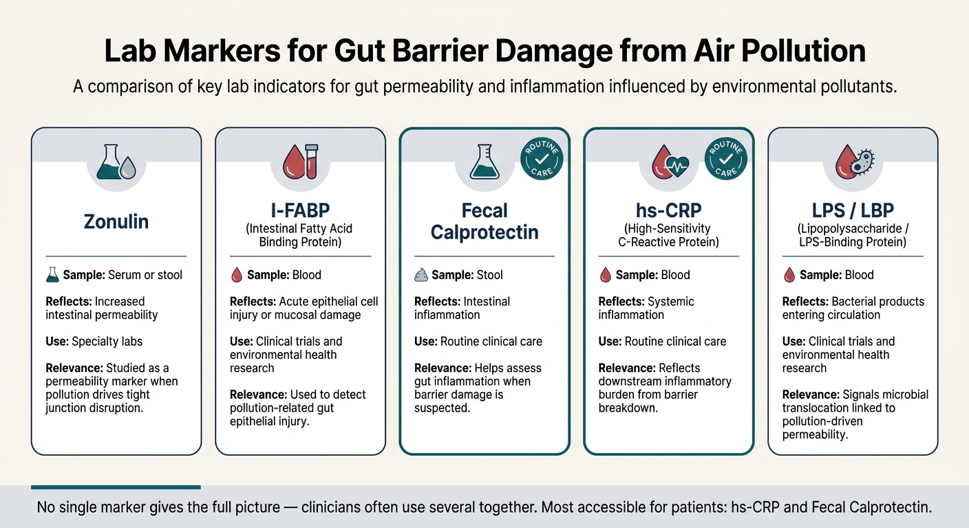 Lab Markers for Gut Barrier Damage from Air Pollution