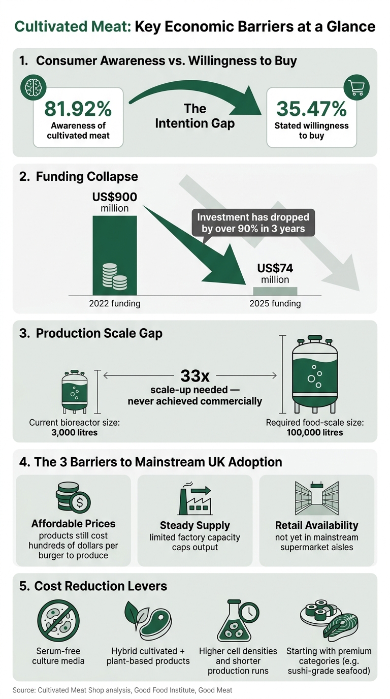 Cultivated Meat: Key Economic Barriers at a Glance