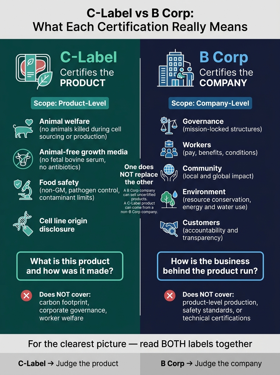 C-Label vs B Corp: Product vs Company Certification Explained