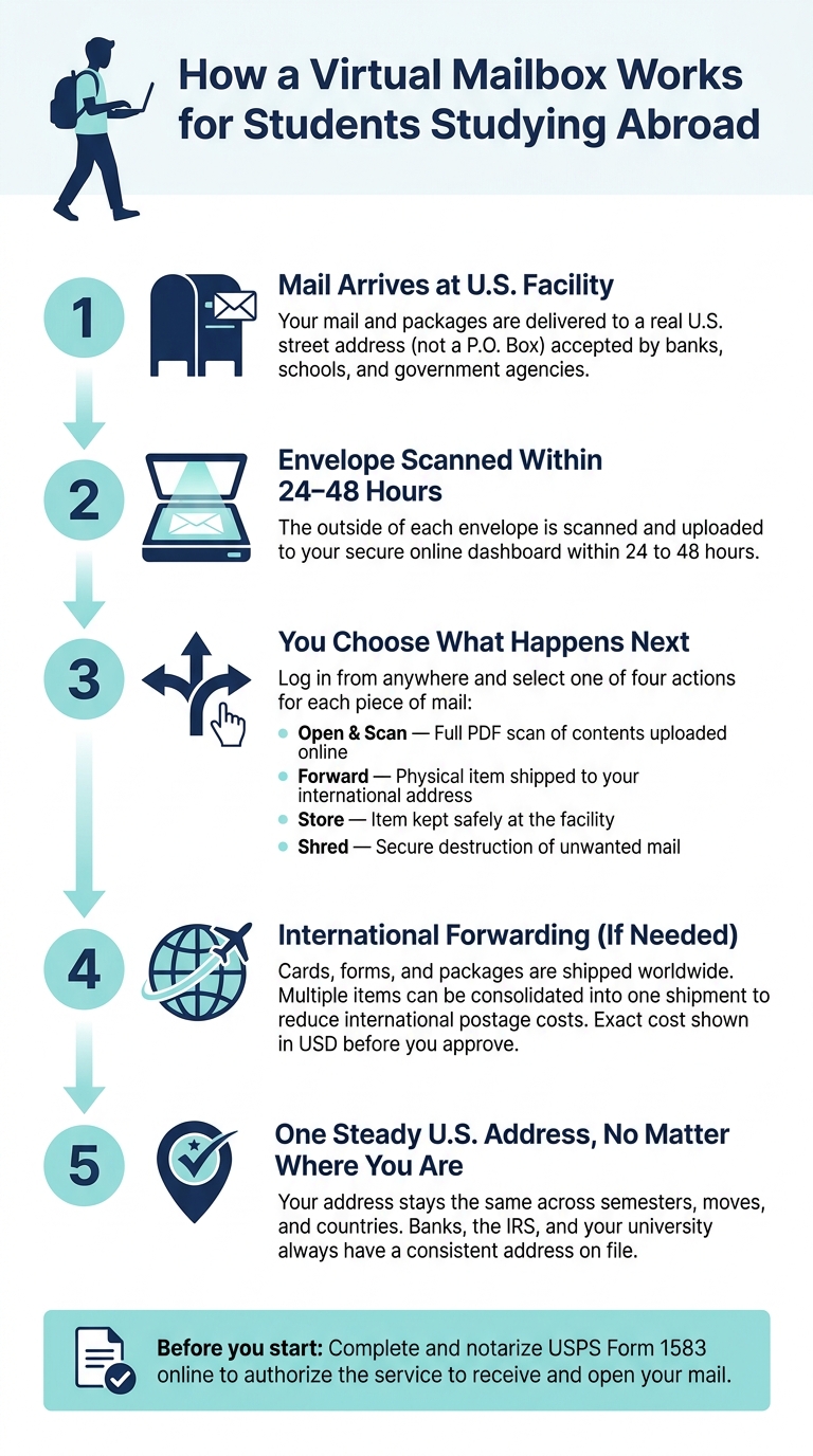 How a Virtual Mailbox Works for Students Studying Abroad