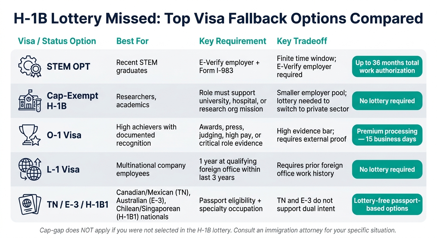 H-1B Lottery Missed: Top Visa Fallback Options Compared