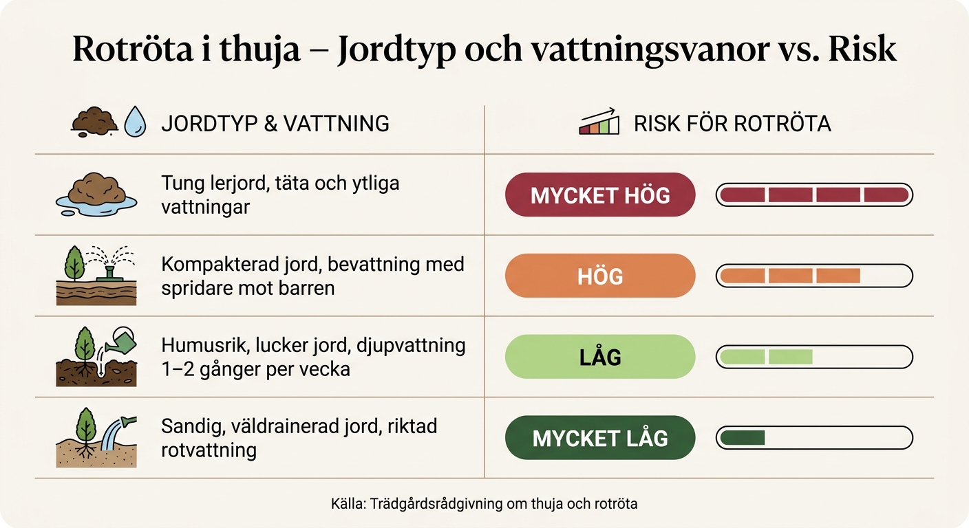 Rotröta i thuja: Jordtyp och vattning vs. risk