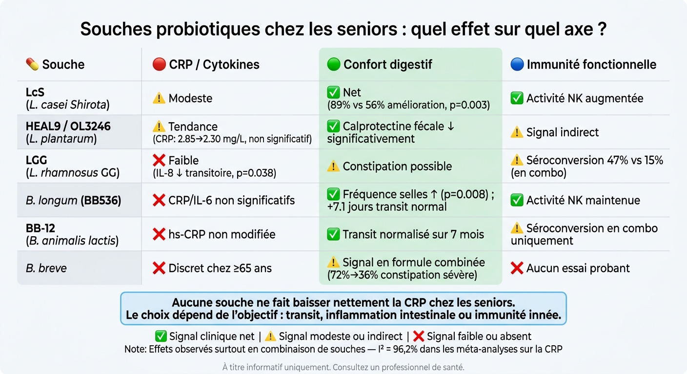 Comparaison des souches probiotiques chez les seniors : transit, inflammation et immunité