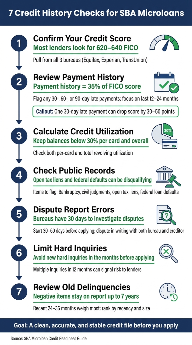 7 Credit History Checks Before Applying for an SBA Microloan