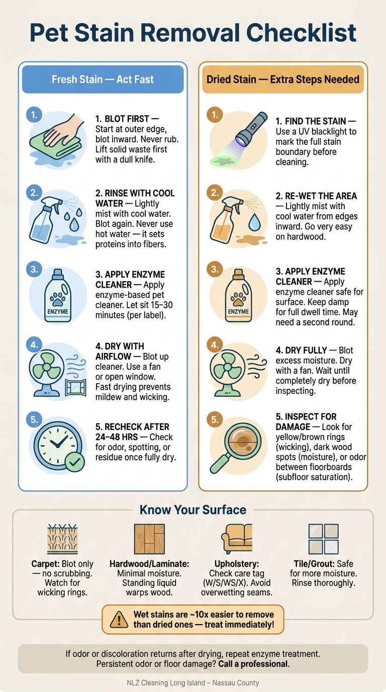 Pet Stain Removal Checklist: Step-by-Step Guide for Every Surface