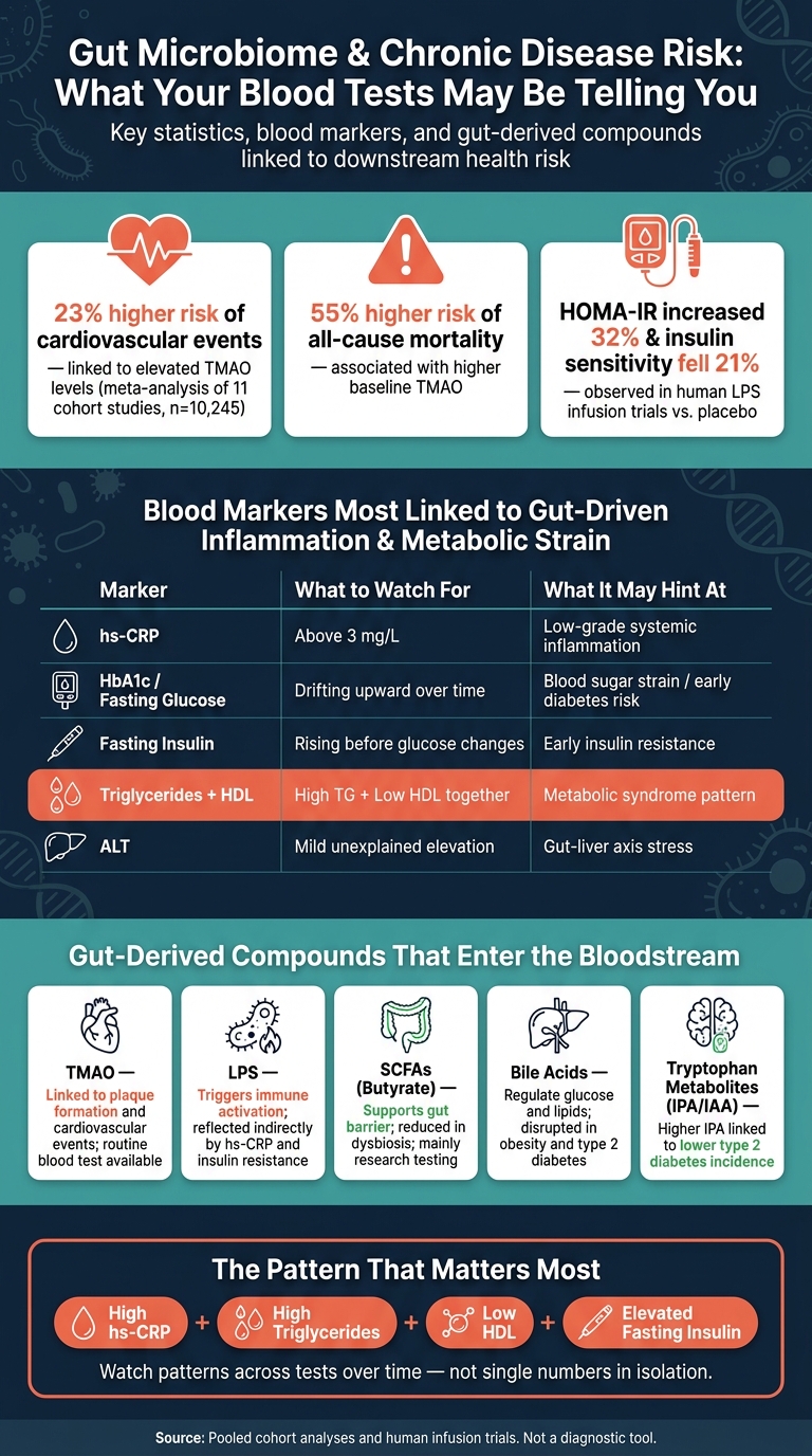 Gut Microbiome & Bloodwork: Key Markers, Metabolites & Chronic Disease Risk Stats