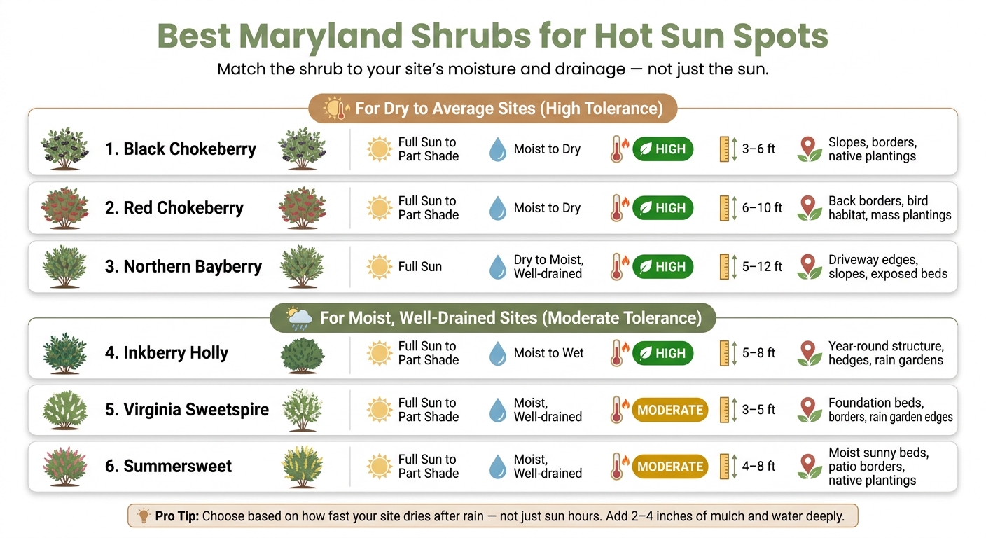 Best Maryland Shrubs for Hot Sun: Quick Comparison Guide