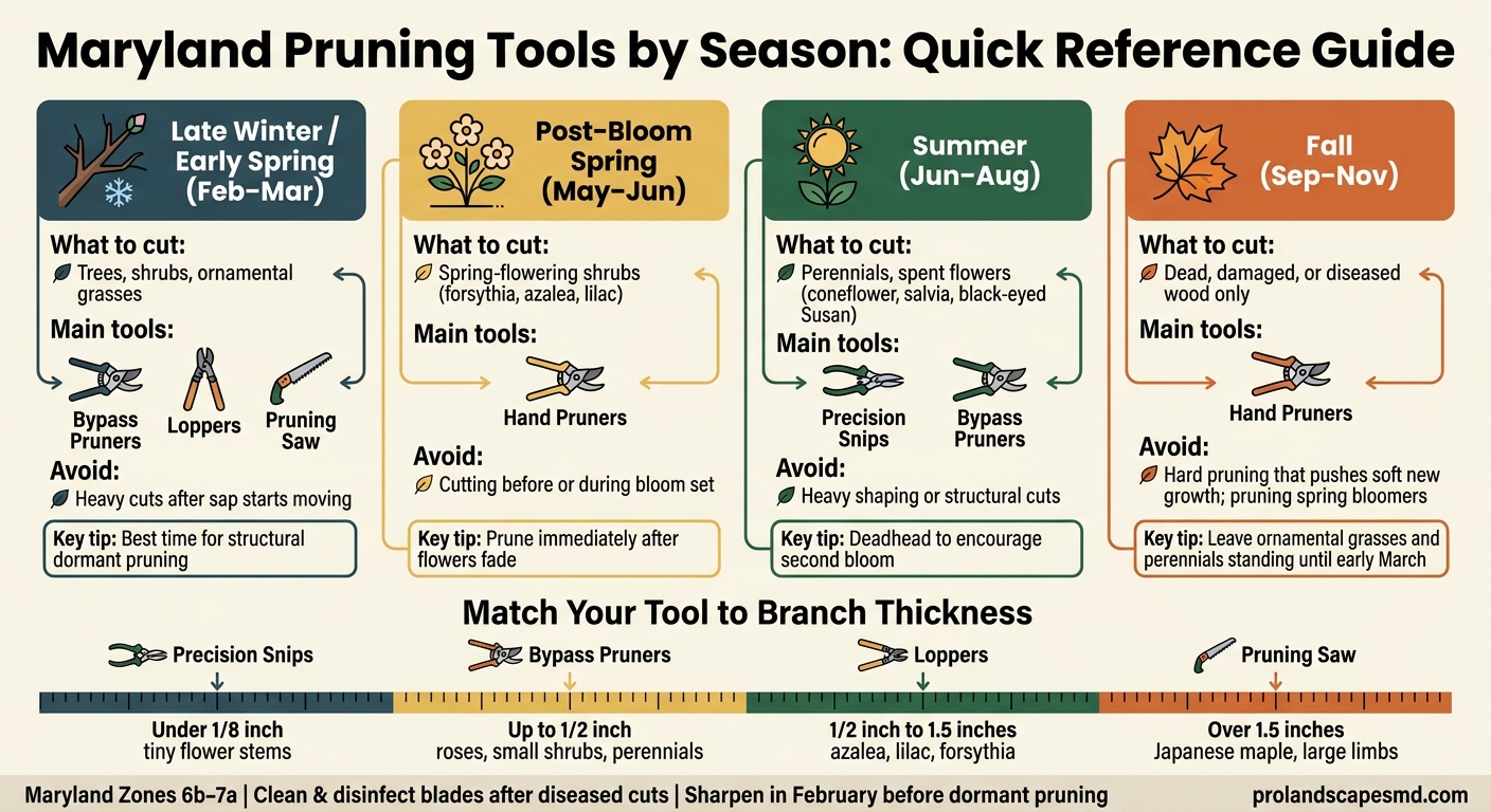 Maryland Pruning Tools by Season: Quick Reference Guide