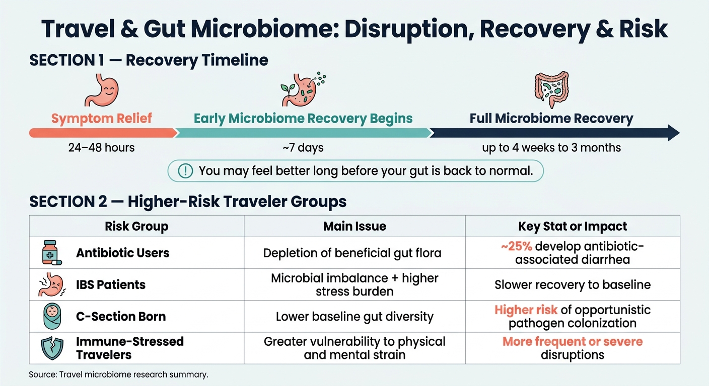 Travel & Gut Microbiome: Risk Groups, Recovery Times & Key Stats