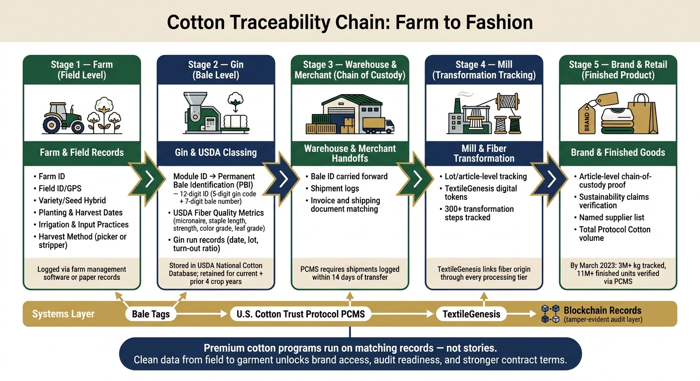 Cotton Traceability Chain: Farm to Fashion in 5 Key Stages