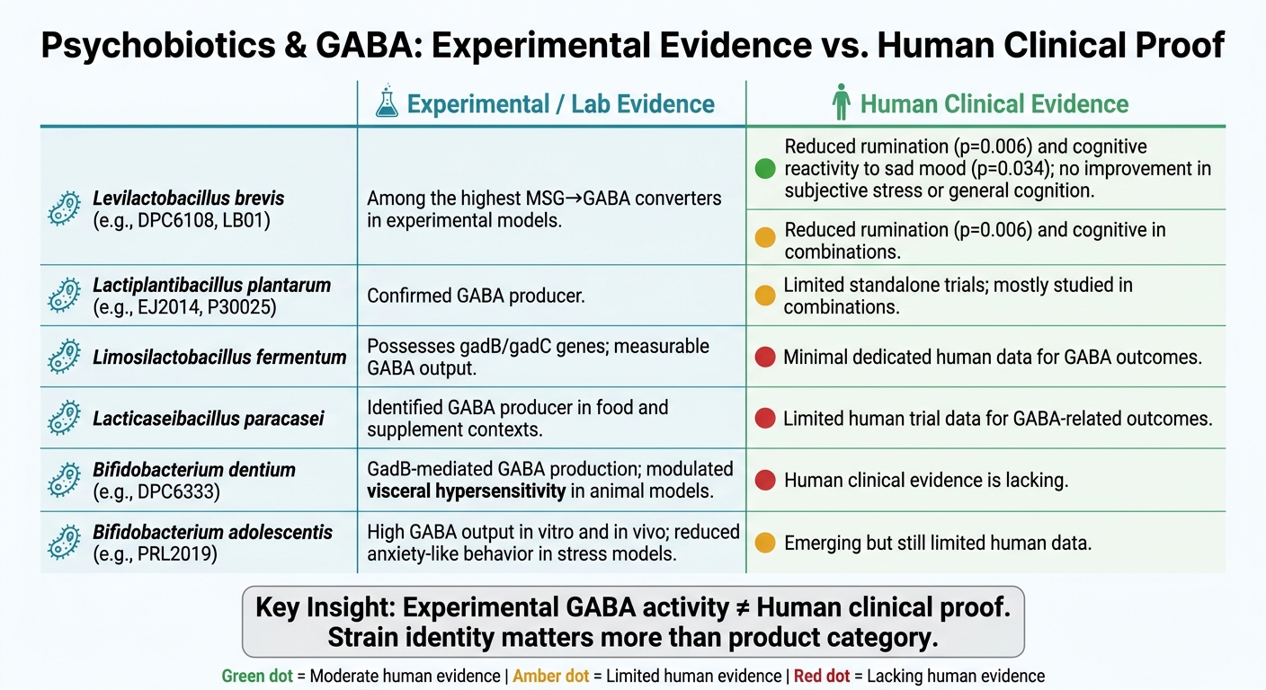 Psychobiotics & GABA: Lab Evidence vs. Human Clinical Proof by Strain
