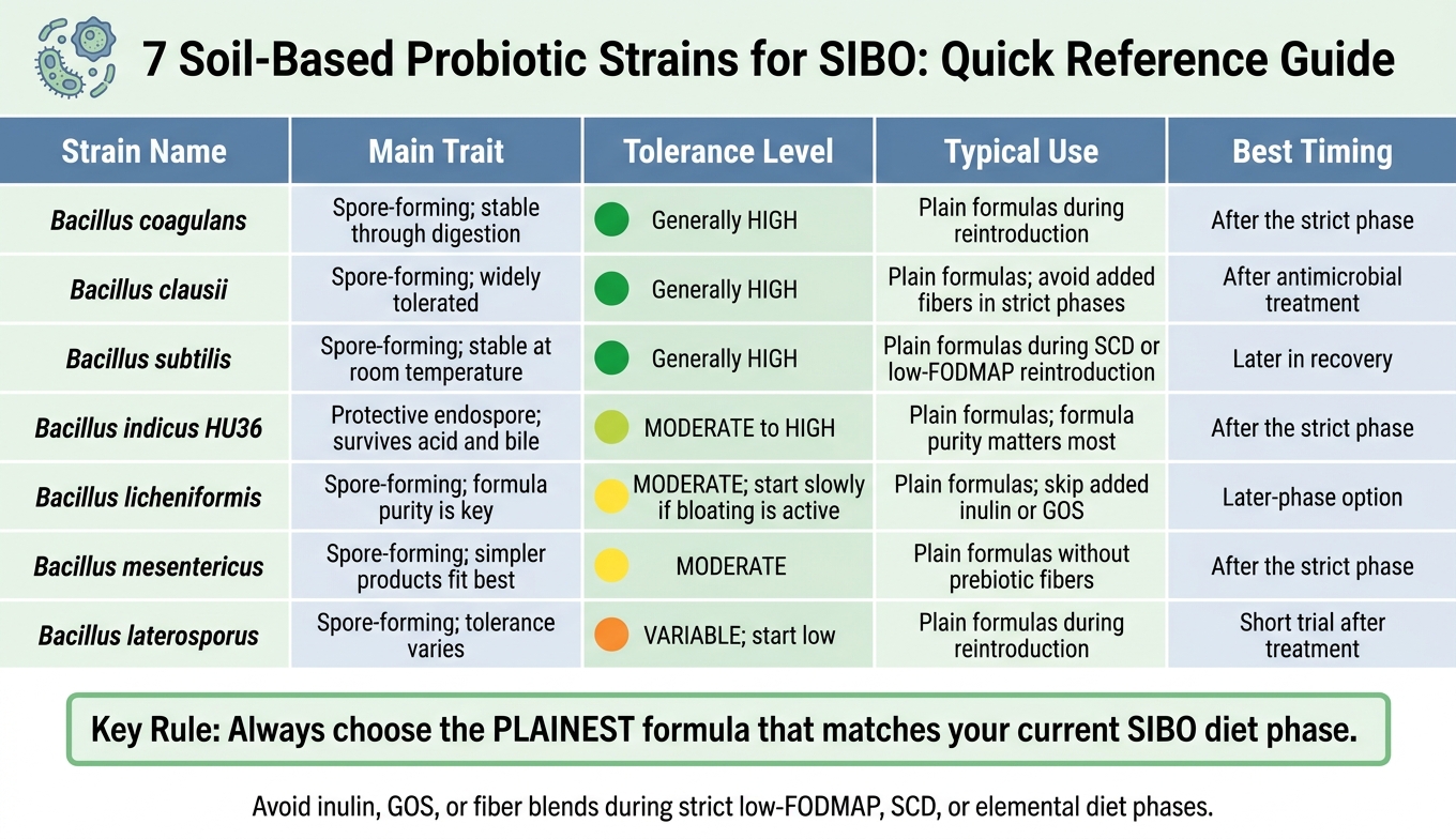 7 Soil-Based Probiotic Strains for SIBO: Quick Comparison Guide