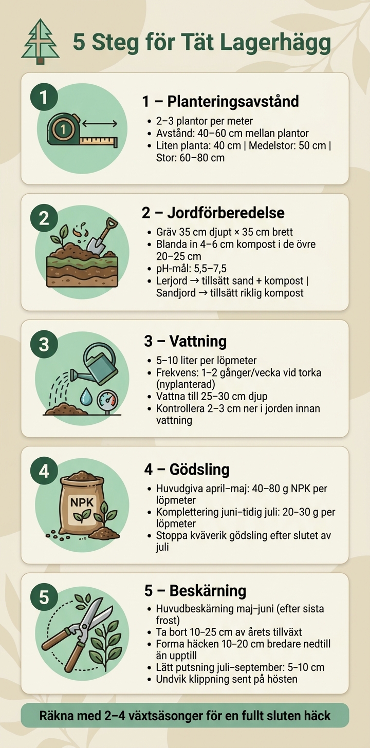 5 Steg för Tät Lagerhägg – Komplett Guide för Nordiska Trädgårdar