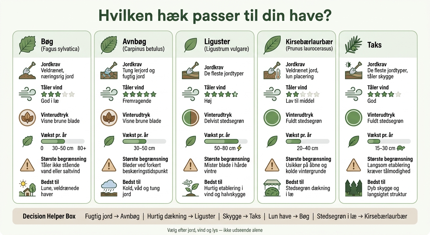 Hæktyper Sammenlignet: Jord, Vind og Vækst