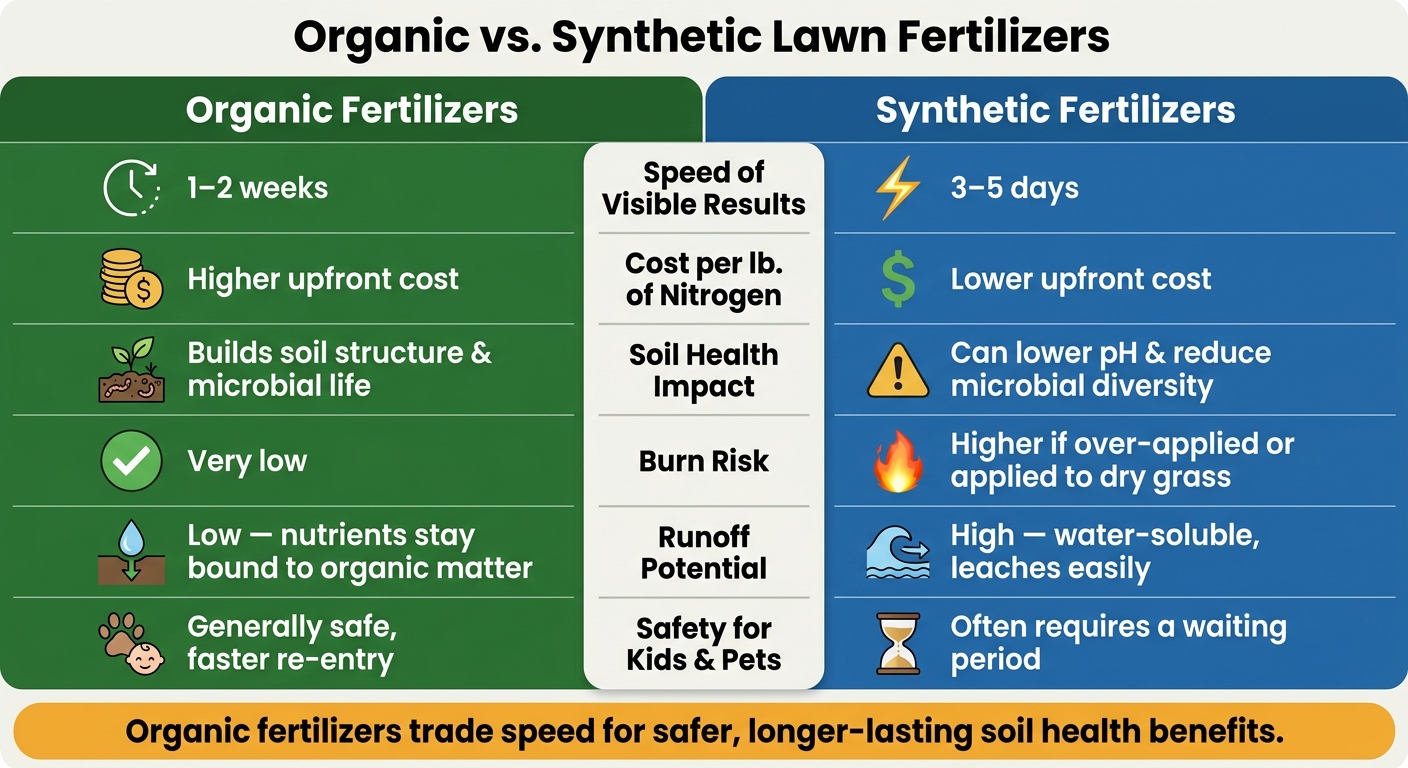 Organic vs. Synthetic Lawn Fertilizers: Full Comparison Guide