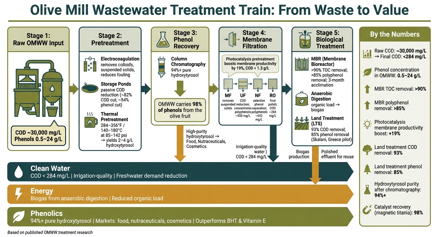 Olive Mill Wastewater Treatment Train: From Waste to Value