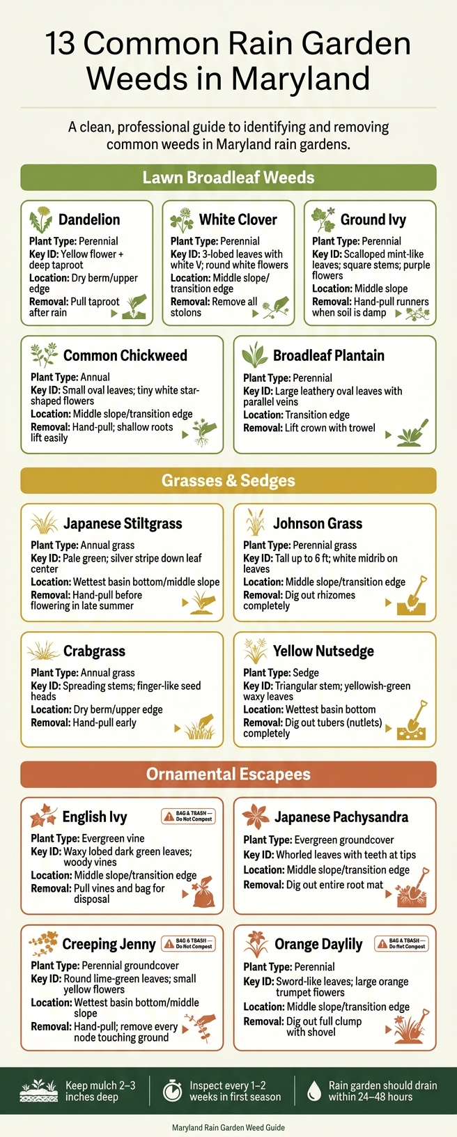 13 Common Rain Garden Weeds in Maryland: Quick ID & Removal Guide