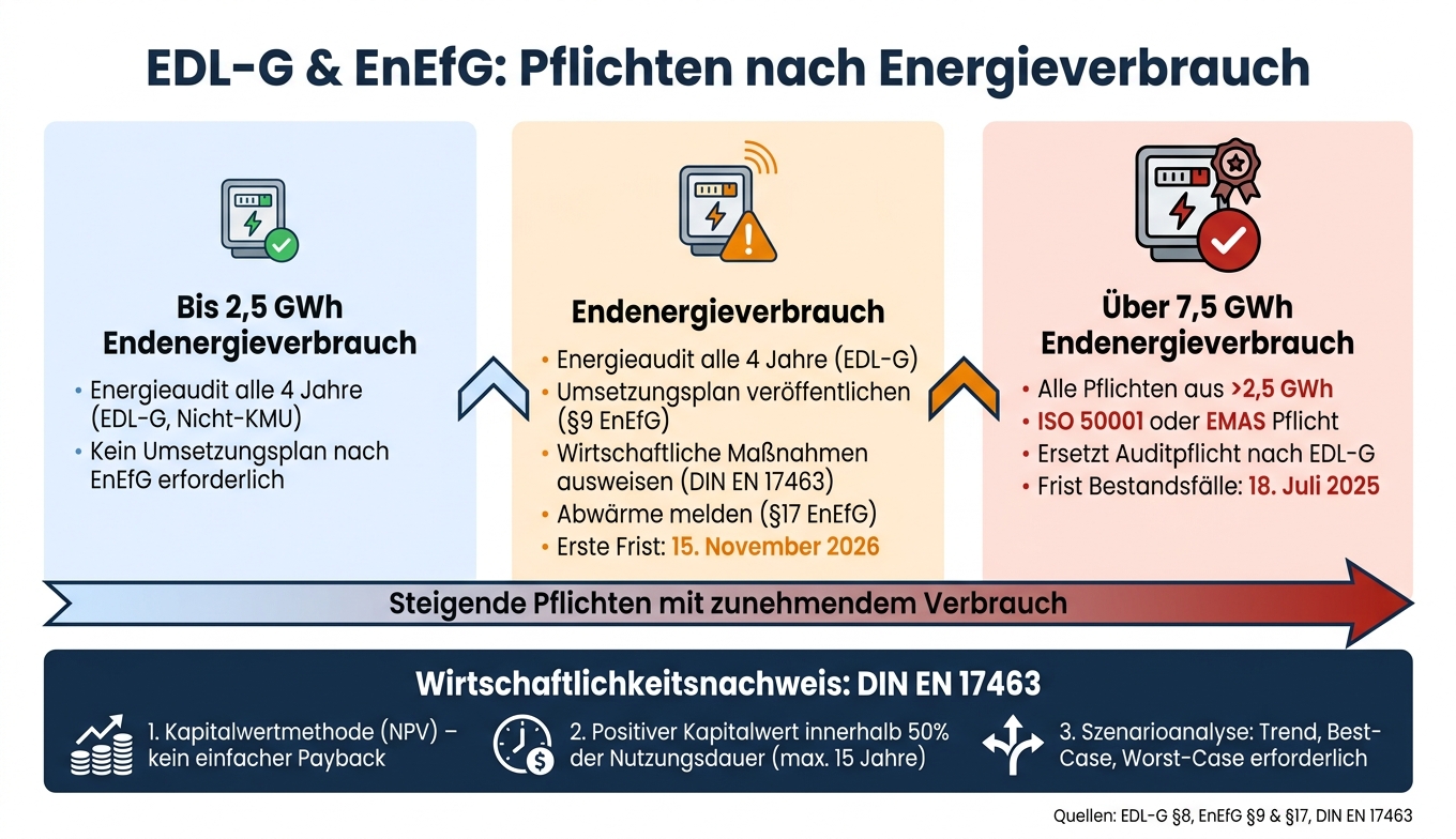 EDL-G & EnEfG: Pflichten nach Energieverbrauch auf einen Blick