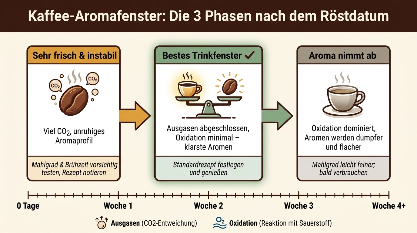 Kaffee-Aromafenster: Die 3 Phasen nach dem Röstdatum