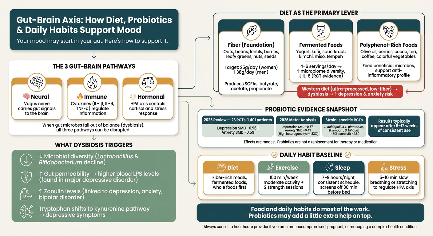 Gut-Brain Axis: How Diet, Probiotics & Daily Habits Support Mood
