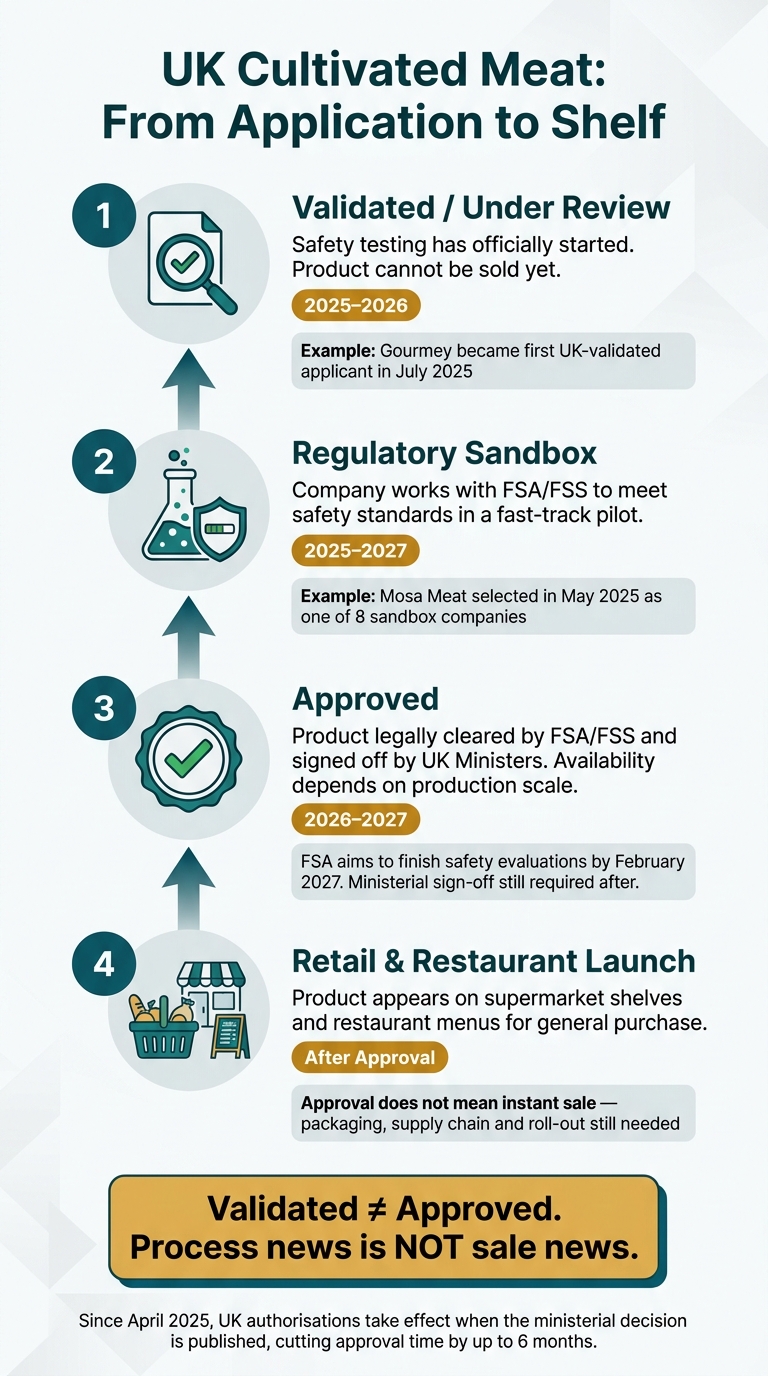 UK Cultivated Meat Approval Process: From Filing to Shelf