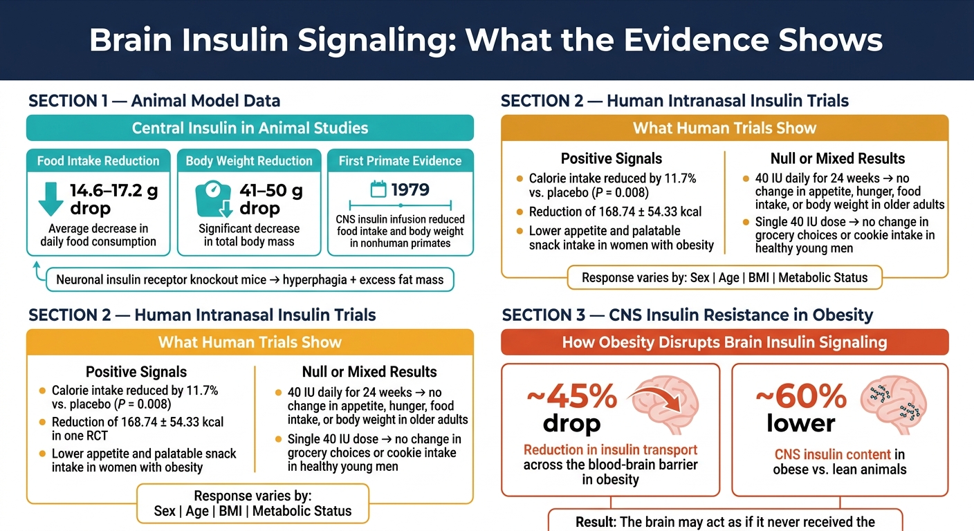 Brain Insulin Signaling vs. CNS Insulin Resistance: Key Clinical Data