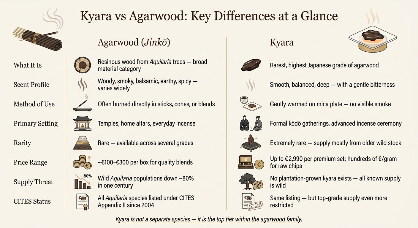 Kyara vs Agarwood: Key Differences at a Glance