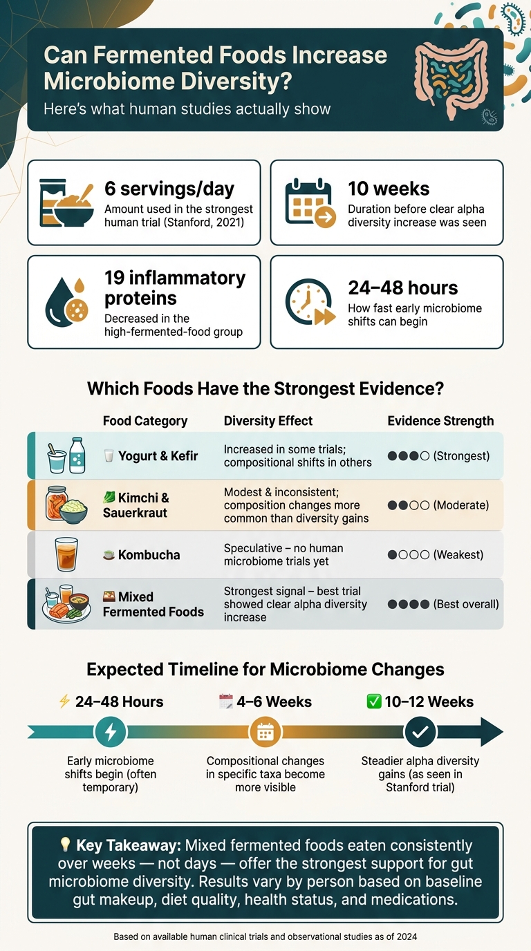 Fermented Foods & Gut Microbiome Diversity: What the Evidence Shows