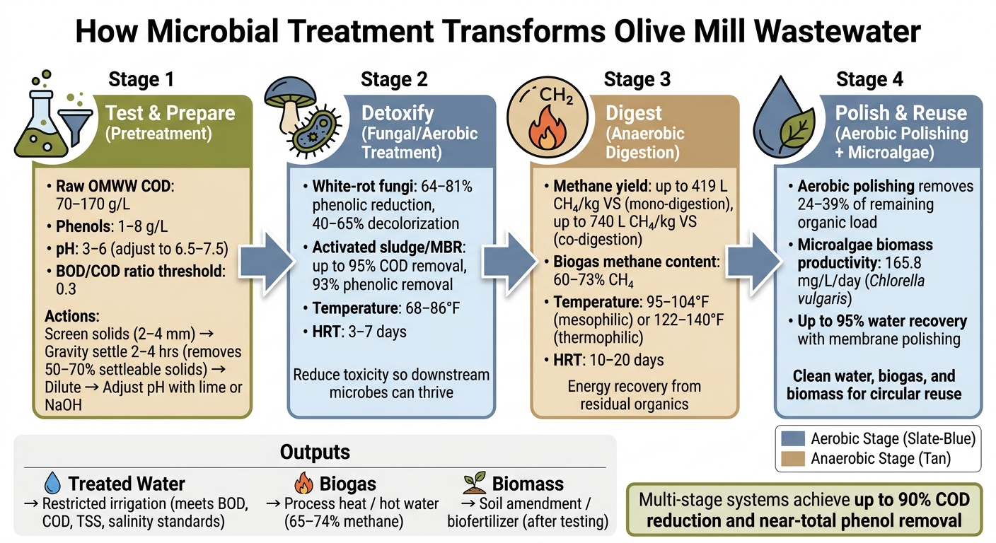 Microbial Treatment of Olive Mill Wastewater: 4-Stage Process Guide