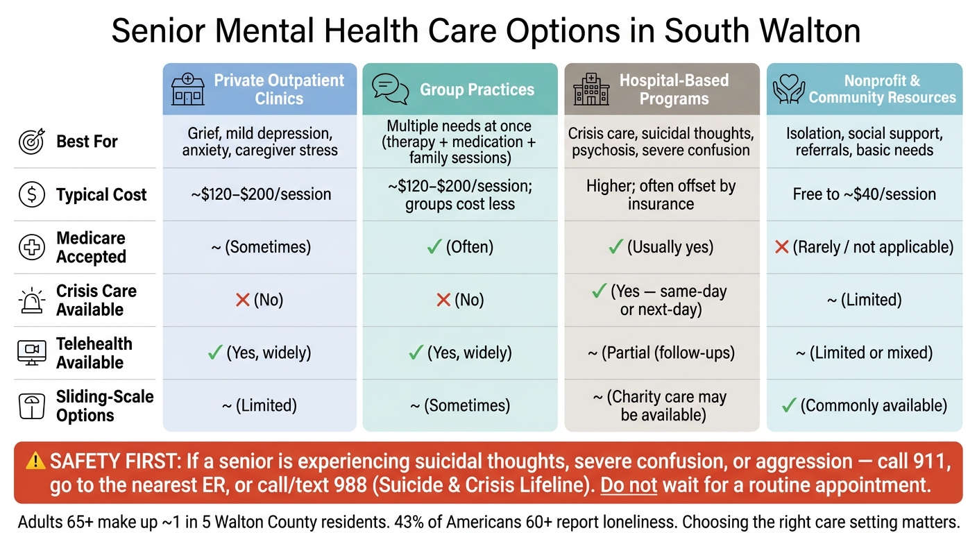 Senior Mental Health Care Options in South Walton: Quick Comparison Guide